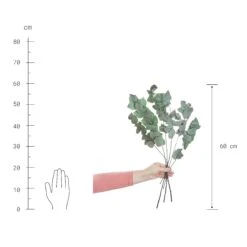 2x Trockenblumen Eukalyptus Länge 60cm FLOWER MARKET In Grün 7 2x Trockenblumen Eukalyptus Länge 60cm FLOWER MARKET In Grün -Butlers butlers 2x trockenblumen eukalyptus lange 60cm flower market in grun 3