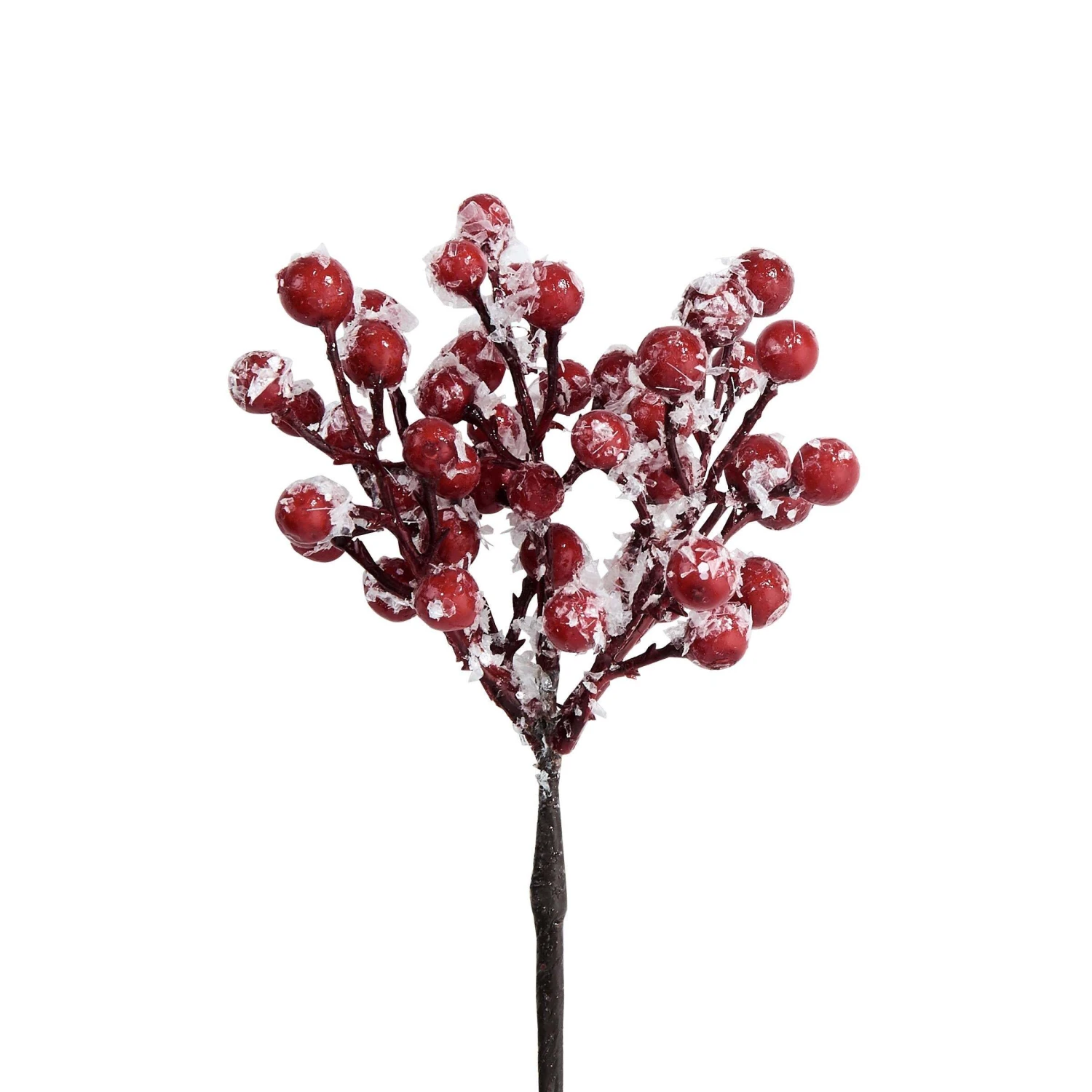 6x Beerenzweig Gefrostet Länge 19cm FLORISTA In Rot 2 6x Beerenzweig Gefrostet Länge 19cm FLORISTA In Rot – Bild 2