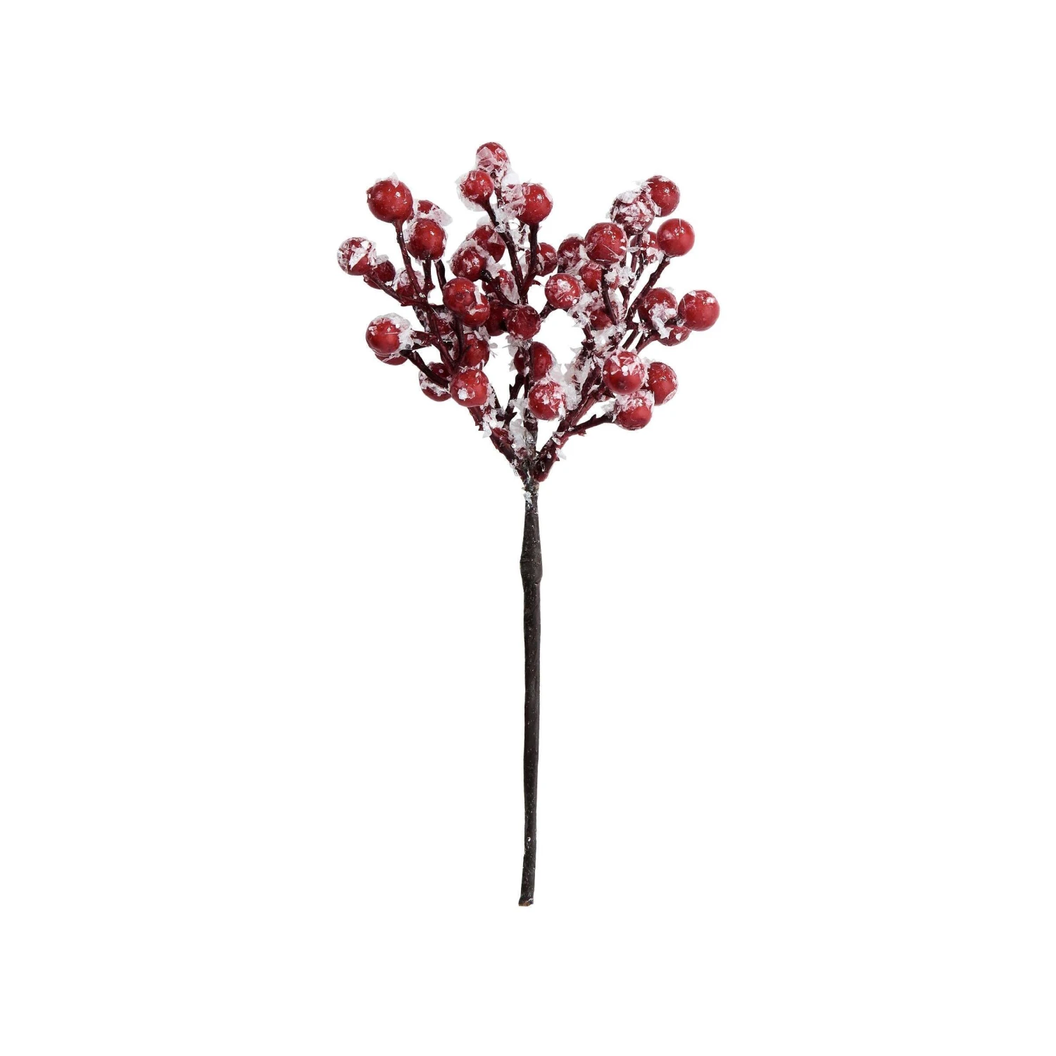 6x Beerenzweig Gefrostet Länge 19cm FLORISTA In Rot 1 6x Beerenzweig Gefrostet Länge 19cm FLORISTA In Rot