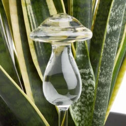 Bewässerungspilz Höhe 22cm RAINDROPS In Transparent 4 Bewässerungspilz Höhe 22cm RAINDROPS In Transparent -Butlers butlers bewasserungspilz hohe 22cm raindrops in transparent 1