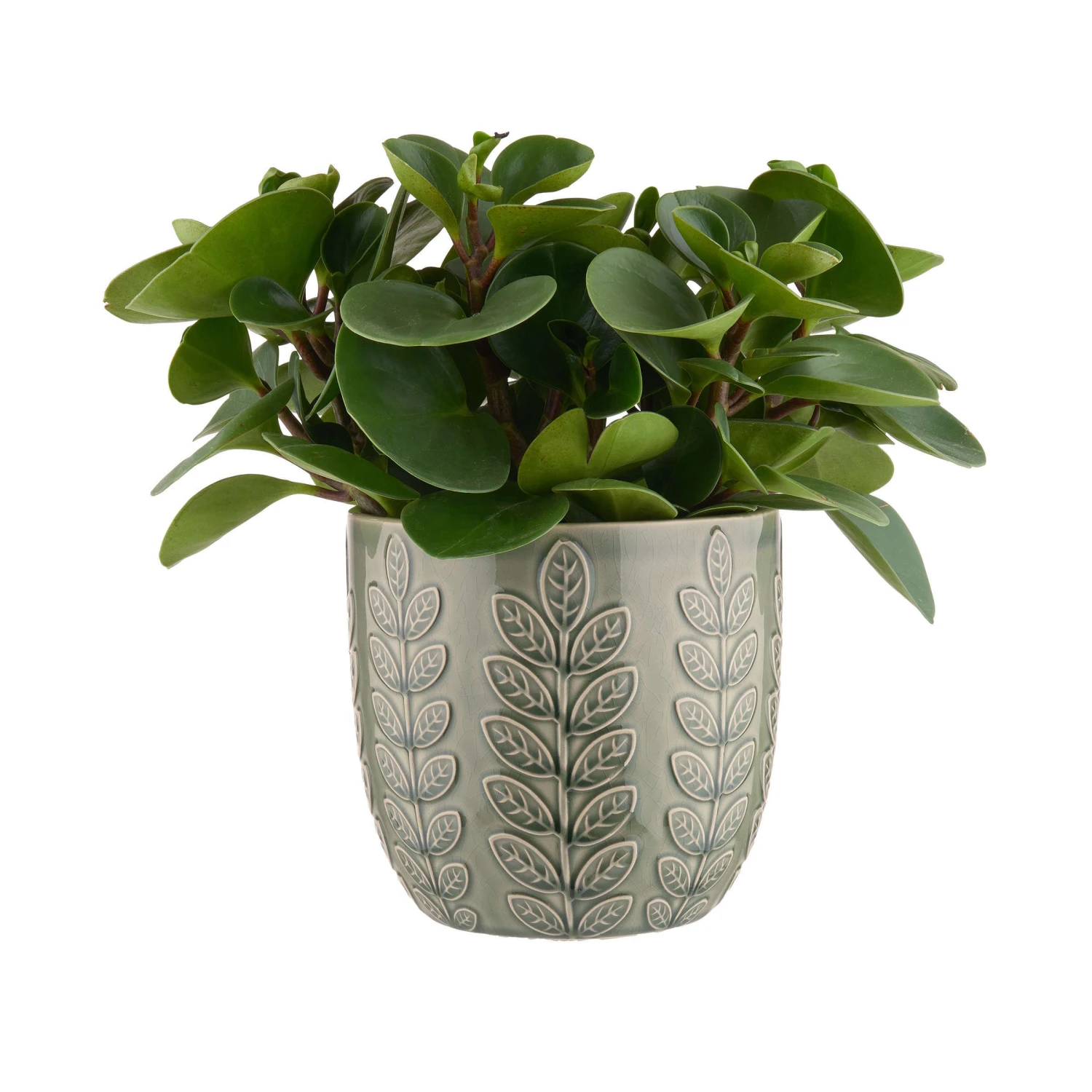 Blumentopf Ø18cm LEAVES In Grün 2 Blumentopf Ø18cm LEAVES In Grün – Bild 2