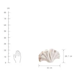 Deko-Objekt Blatt Höhe 21cm GINKGO In Creme 8 Deko-Objekt Blatt Höhe 21cm GINKGO In Creme -Butlers butlers deko objekt blatt hohe 21cm ginkgo in creme 3