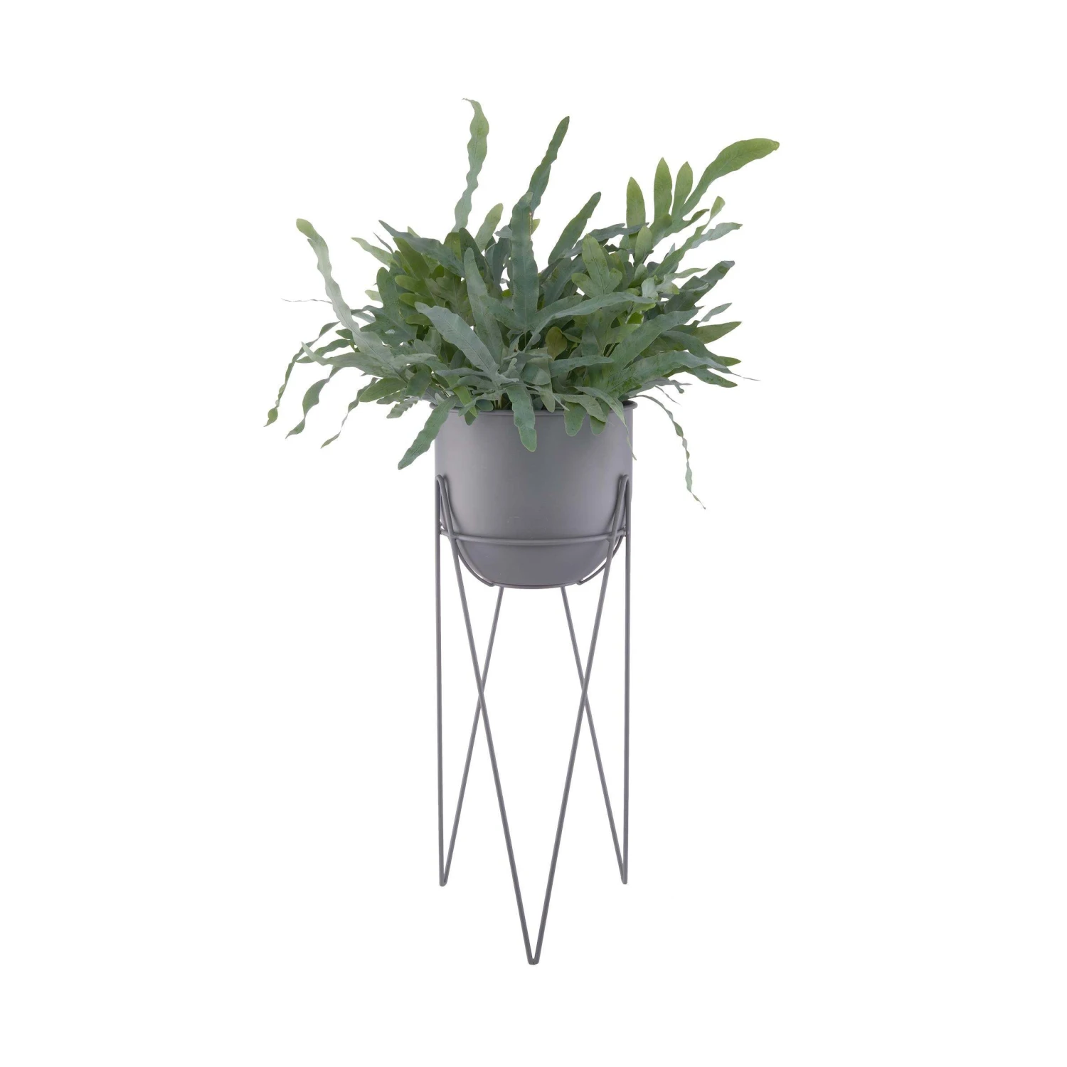 Pflanzentopf Mit Gestell Höhe 56cm PLANTA In Grau 2 Pflanzentopf Mit Gestell Höhe 56cm PLANTA In Grau – Bild 2