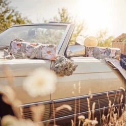 Picknickdecke L 175 X B 154cm BETWEEN FLOWERS In Creme 23 Picknickdecke L 175 X B 154cm BETWEEN FLOWERS In Creme -Butlers butlers picknickdecke l 175 x b 154cm between flowers in creme 11