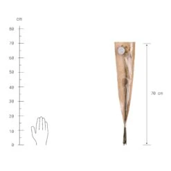 Trockenblumen Craspedia Länge 70cm FLOWER MARKET In Gelb 7 Trockenblumen Craspedia Länge 70cm FLOWER MARKET In Gelb -Butlers butlers trockenblumen craspedia lange 70cm flower market in gelb 2