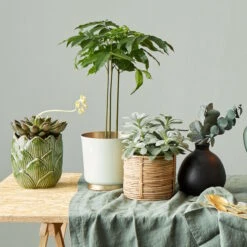 Vase Höhe 16cm MIO In Schwarz 17 Vase Höhe 16cm MIO In Schwarz -Butlers butlers vase hohe 16cm mio in schwarz 7